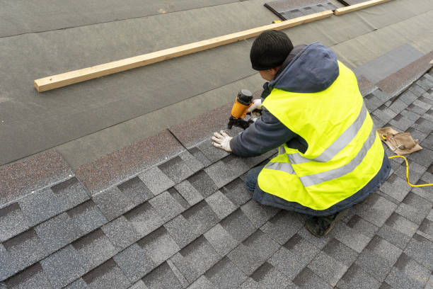 Best Roof Gutter Cleaning  in Edison, GA
